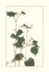 photo18_small.jpg