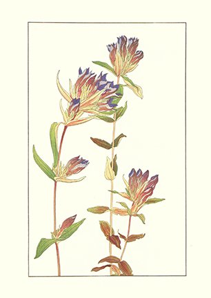 photo19.jpg