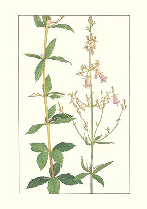 photo24.jpg