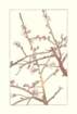 photo31_small.jpg