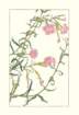 photo32_small.jpg