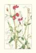 photo41_small.jpg