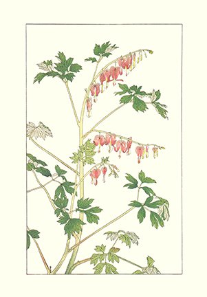 photo65.jpg