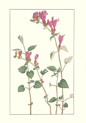 photo67.jpg