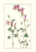 photo67_small.jpg