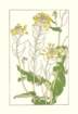 photo73_small.jpg
