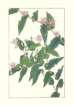 photo74_small.jpg