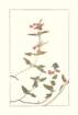 photo75_small.jpg