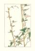 photo76_small.jpg