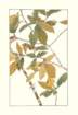 photo79_small.jpg