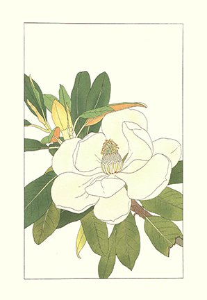 photo89.jpg