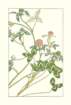 photo95_small.jpg