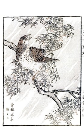 photo10.jpg