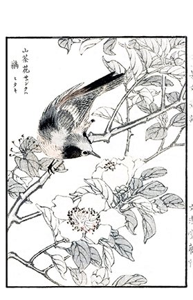 photo16.jpg