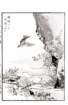 photo29_small.jpg