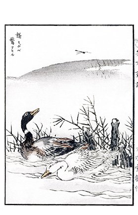 photo30.jpg