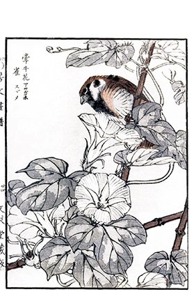 photo31.jpg