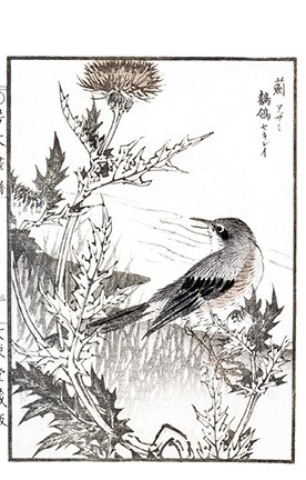 photo4.jpg