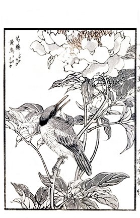 photo7.jpg