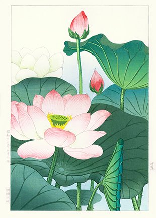 photo23.jpg