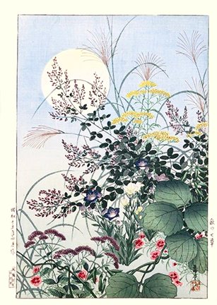photo29.jpg