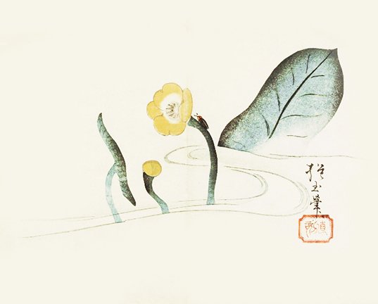 photo10.jpg