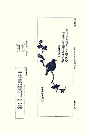 photo24.jpg