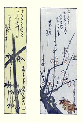 photo15.jpg