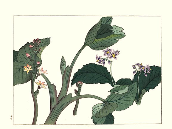photo17.jpg