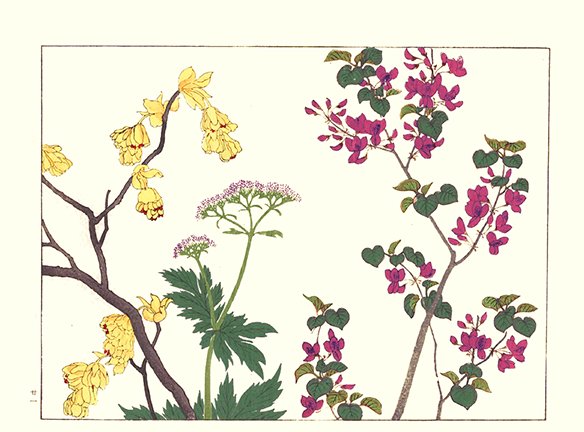 photo21.jpg