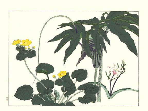 photo24.jpg
