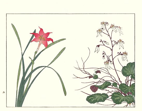 photo55.jpg