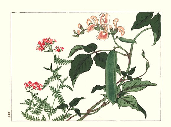 photo97.jpg