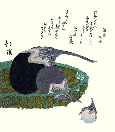 photo14.jpg