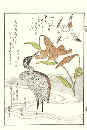 photo13.jpg