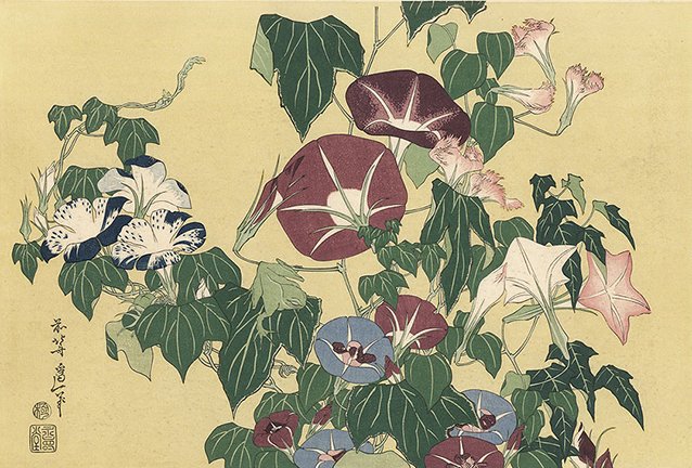 photo5.jpg