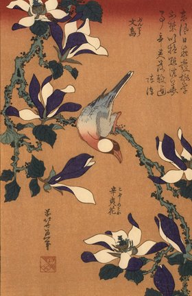 photo.jpg