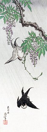 photo9.jpg