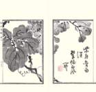 photo11_small.jpg