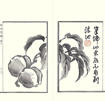 photo12.jpg