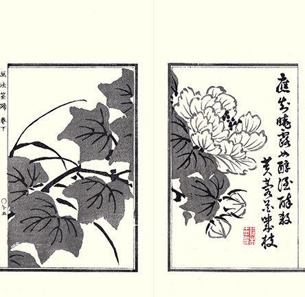 photo14.jpg