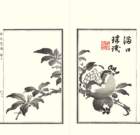 photo16_small.jpg