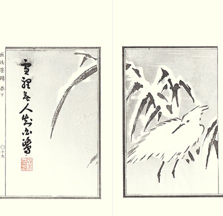 photo17.jpg