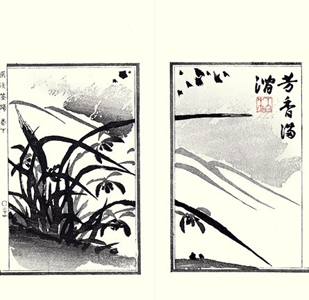 photo20.jpg