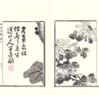 photo5_small.jpg