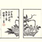 photo7_small.jpg