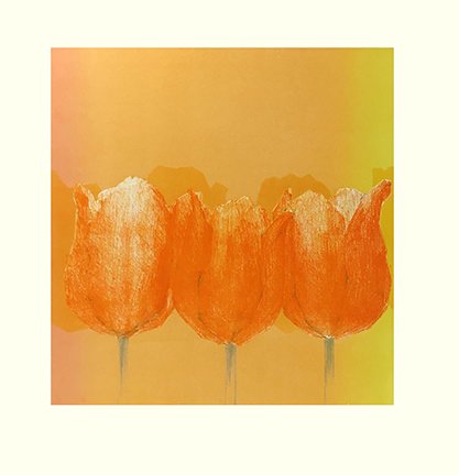 photo12.jpg