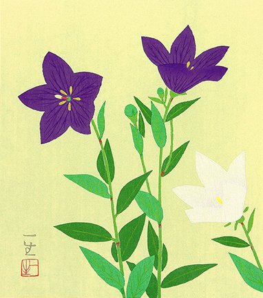 photo3.jpg