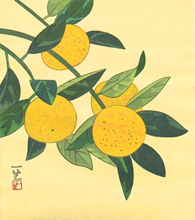 photo4.jpg