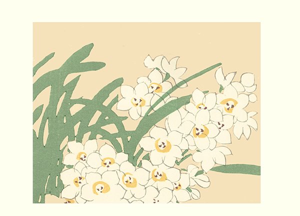 photo15.jpg
